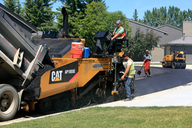 Best Professional Driveway Pavers  in Hillsdale, MI